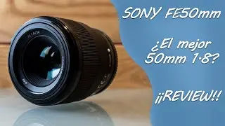 SONY FE50mm F1.8 // Review📸💬