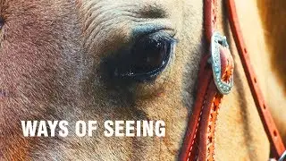 Ways of Seeing | Paige's story