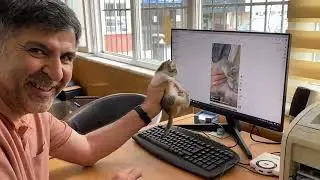 Yavru kedi ile fizik tedavi egzersizi