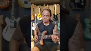 PRS GUITARS SE CUSTOM 24  MCCARTY 594
