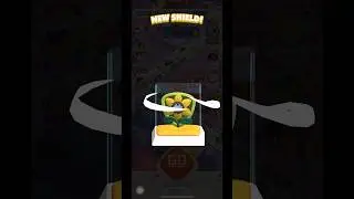New Shield skin