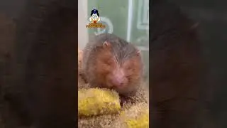 Чутка подустала😂 