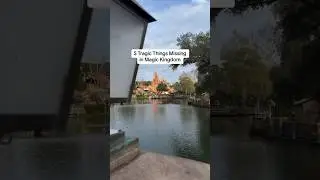 5 Tragic Things Missing in Magic Kingdom 