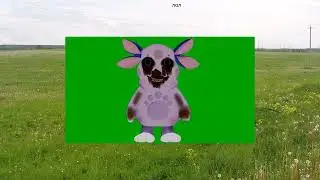 тест видео в powerpoint