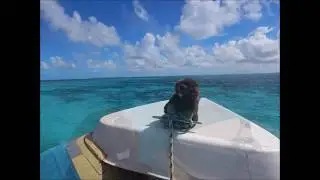 rando snorkling seatour