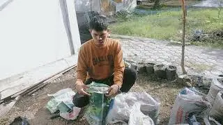Beresin kolam ikan terbengkalai