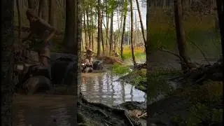 Mudding