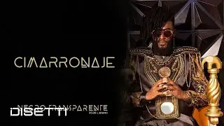 Robe L Ninho ft DJ Lápiz & Wendy Oram - Cimarronaje (Audio) | Negro Transparente