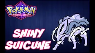 Live Shiny Suicune After 538 Soft Resets (Pokemon Crystal Virtual Console)