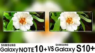 Samsung Galaxy Note 10+ Vs Galaxy S10+ Camera Test