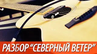 Разбор и аккорды песни северный ветер.
