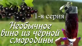 Как разбродить дикие дрожжи для вина.