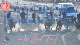 DOLAR BLUE - Perito Moreno 2/06/2024