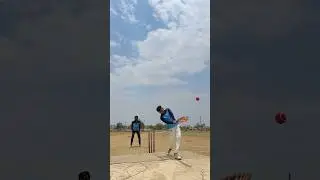 No Ball 🤩🏏 