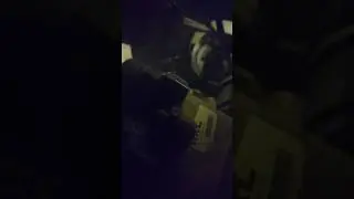 Чудит сервопривод гепарда