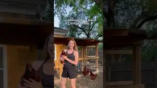 Mini Backyard Homestead Tour! #backyardhomestead #backyardgardening #growyourown #growyourownfood