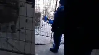 Бародари Точикмон, аз нохияи Айни 20 сола, аз 20 этаж галтид. Инно Лиллох ва Ино Илайхи Рочиун.