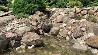 Переток воды с ручья в верхний припрудок