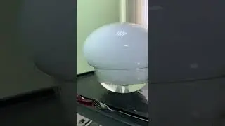 Мыльные пузыри, наполненные паром? 🤓 Конечно, если внутри есть сухой лед 🧊