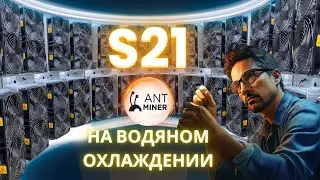 НЕ ПОКУПАЙ ANTMINER S21 пока не посмотришь это видео!