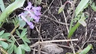 К нам пришел ДОЖДЬ