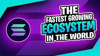 Solana: The Fastest Growing Ecosystem in the World + Solana Explained