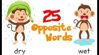 Learn English Opposites | 25 Antonyms for Kids Part 1