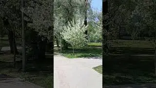 Beautiful View Of Razali Zemlichka Park In May, #лето  #пермь #youtubeshorts