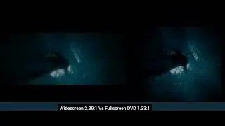 The bourne ultimatum (Thai dub) aspect ratio comparison widescreen vs fullscreen dvd final scene