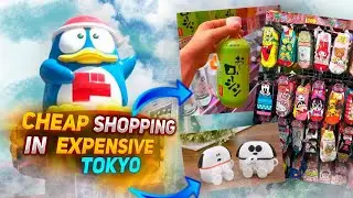 CHEAP shopping in Tokyo | Overview of the most popular store in japan