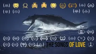 The songs of Love  ( Paganel Studio ) 2019 HD