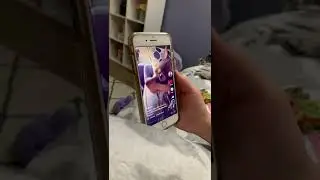 When Your Chihuahua Gets Reinspired to Evolve 