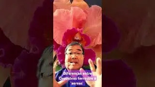 Diferenças entre Orquídeas Terrestres e Aéreas (Epífitas). #robertotakane #livrosubstratotecnico