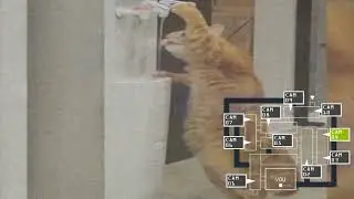 fnaf cat edition