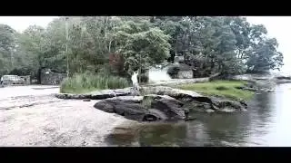 На хуй пошёл, Тони