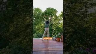 Показываю все в своем тг t.me/spottykit