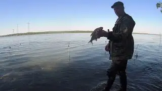 Рыбалка в ИЮЛЕ .  Ловля леща с берега на донную снасть .