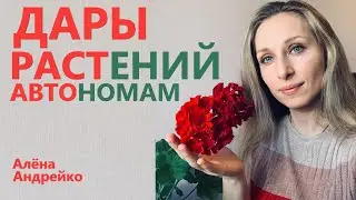 ⭐Дары растений автономам. Алёна Андрейко ⭐AvtoPolStar