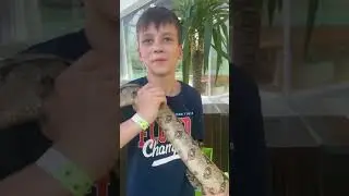 6 мая 2024 г.