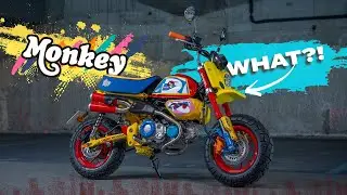 New Honda Monkey 125 = WILD!