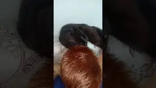 Ребенок в бане не домылся