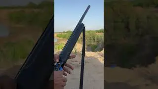 Shortgun of the day #trendingshorts