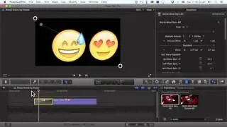 Final Cut Pro X plugin - Alex4D Animation Transitions - Animating in and out