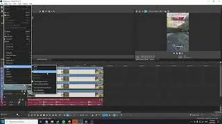 how to disable resample on all tracks