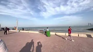 Kuwait City || Shark || kuwait Tower