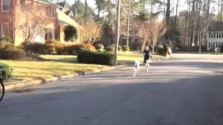 Tony learns to ride a bike