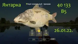рр4! Янтарное Карпы под базой и фарм!))