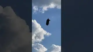 Вот такое чудо пролетело. Что это?