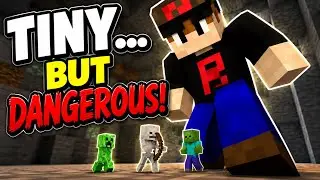Every Minecraft Mob is Tiny! ( Tiny Mobs HeroPixels)