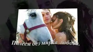 НА ВЯТЪРА..
